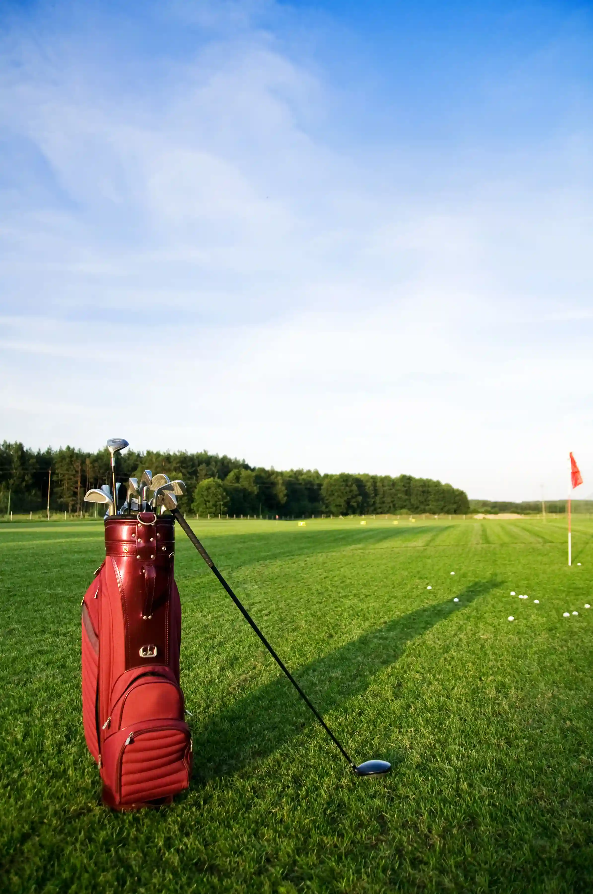 Golf Course View